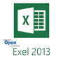 תמונה של Excel 2013