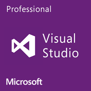 תמונה של Visual Studio Professional 2013